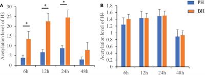 Increased histone H3 acetylation inhibit the inflammatory response and activate the serum immunity of Pearl oyster Pinctada fucata martensii